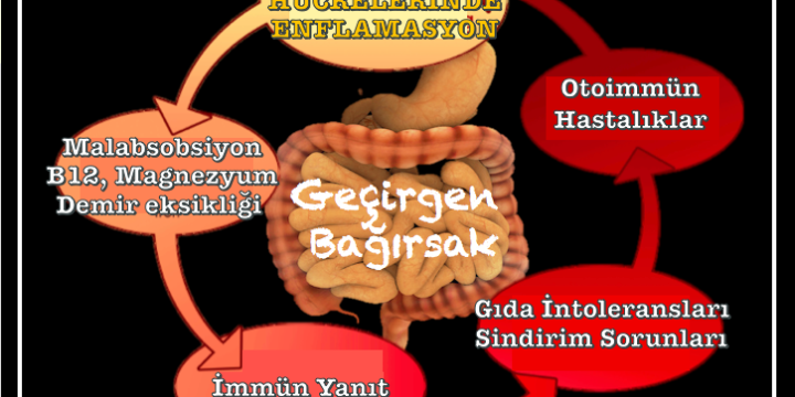 Geçirgen Bağırsak Sendromunun Yol Açtığı Riskler [2026]